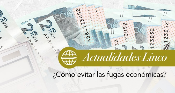 ¿Cómo Evitar Fugas Económicas?